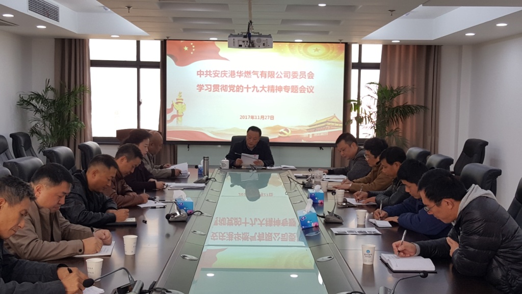 安慶港華燃?xì)夤菊匍_(kāi)學(xué)習(xí)宣傳貫徹黨的十九大精神大會(huì)